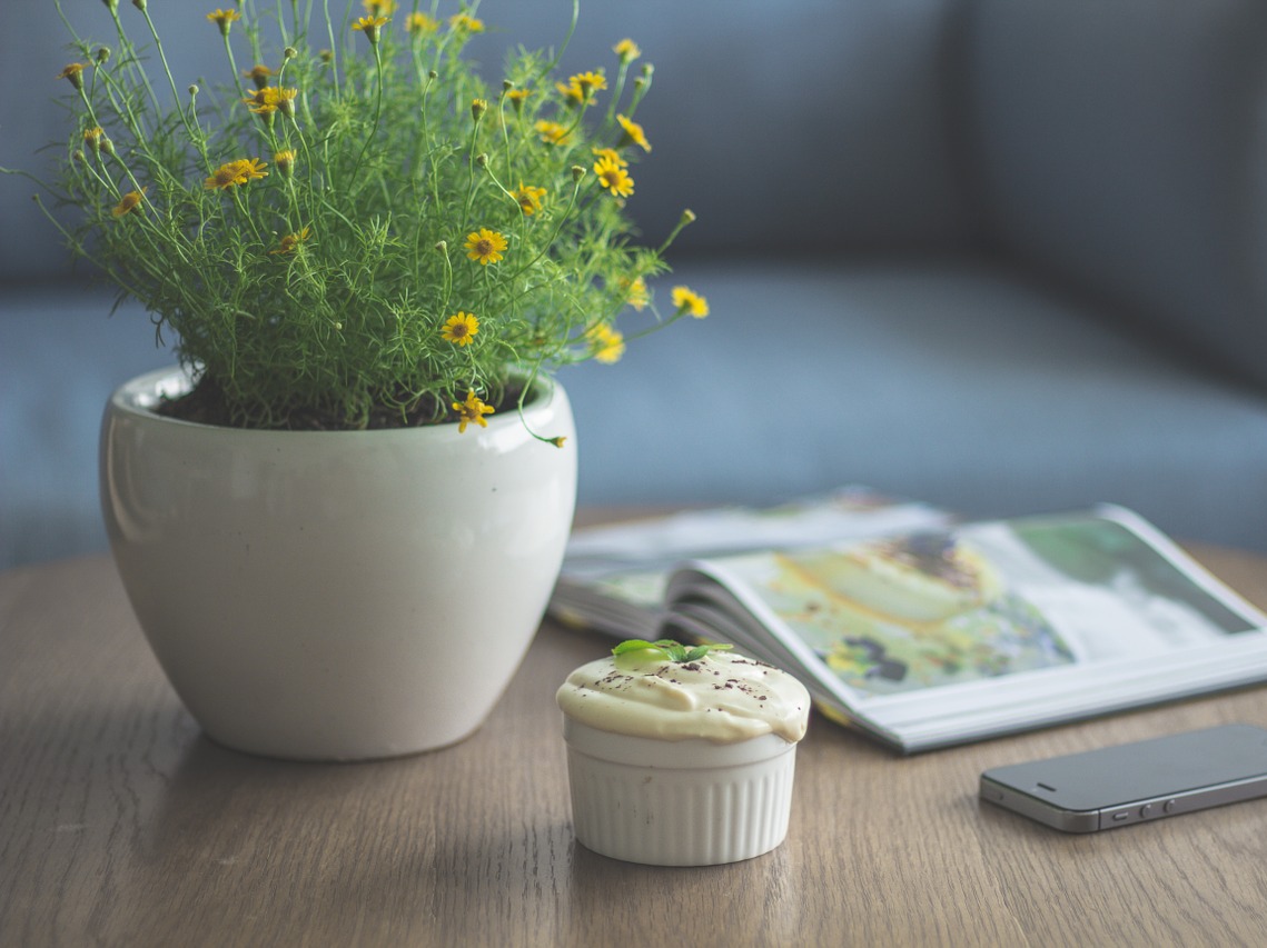 Фитодизайн интерьера 